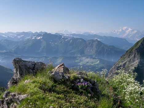 Les Hauts-Forts, le Mont Blanc et l'Aiguille Verte