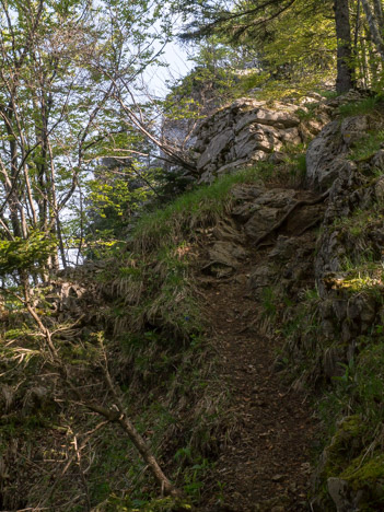 Entre le Col des Fontanettes et le Mont Pellat