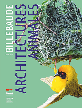 Billebaude - Tome 19 - Architectures animales, sous la direction de Anne de Malleray, nov. 2021