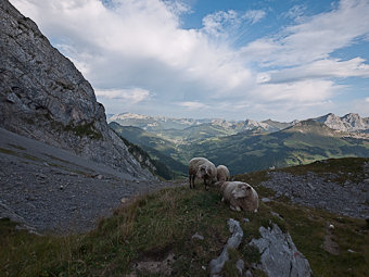 Grand Bornand et vallée du torrent de Borne