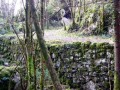 Grotte du Loup – Nances près de Novalaise, Avant Pays Savoyard