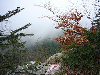 Belledigue, point de vue Nord vers Château Richard