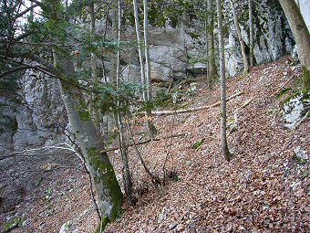 Belledigue, le renfoncement des grottes sous les falaises Est