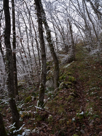 Au bord de la Léchère