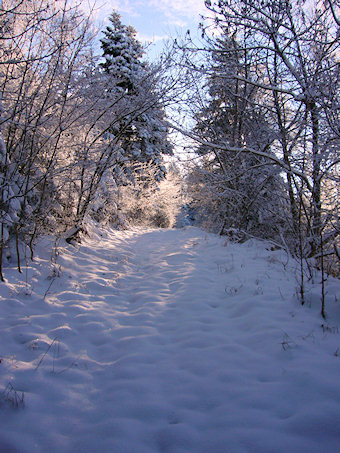 Piste de la Grande Vie