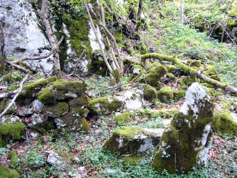 Trace d'une probable cabane de berger au Col Saint Michel, Aiguebelette