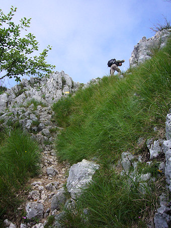 Sur l'arête de la Dent du Chat