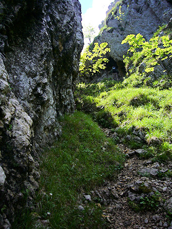 Couloir Nord de la Dent du Chat