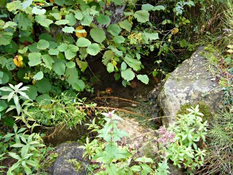 Source de la Grange des Rochettes - Loisieux, Savoie