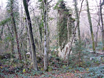 Ruines de La Combe, Gerbaix - Avant Pays Savoyard