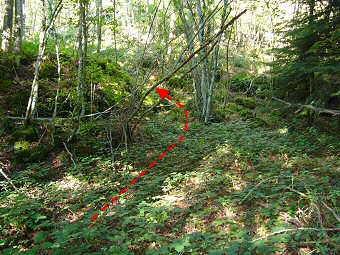 Point de départ du passage de la Lechere par le Nord, un petit thalweg