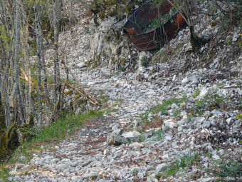 Piste d''exploitation du charbon de bois, Nances, Avant Pays Savoyard