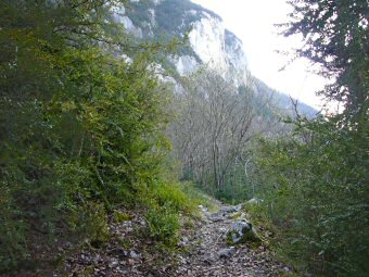 Chemin d'accès au balcon du Lac d'Aiguebelette