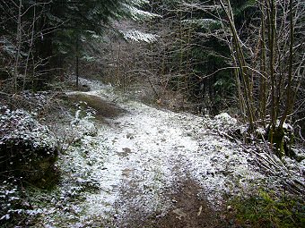 Au Col du Mont Tournier la neige commence à tenir, Saint Maurice de Rotherens, Avant Pays Savoyard