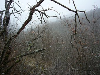 Il neige au Mont Chatel, Saint Pierre d'Alvey, Avant Pays Savoyard