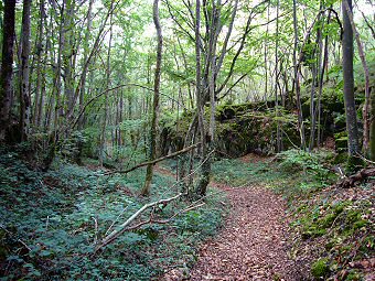 Un joli canyon facile à parcourir