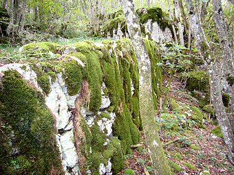 Le mur de soutènement du chemin en remblai