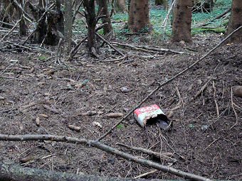 Le vieux bidon abandonné par les forestiers marque le départ