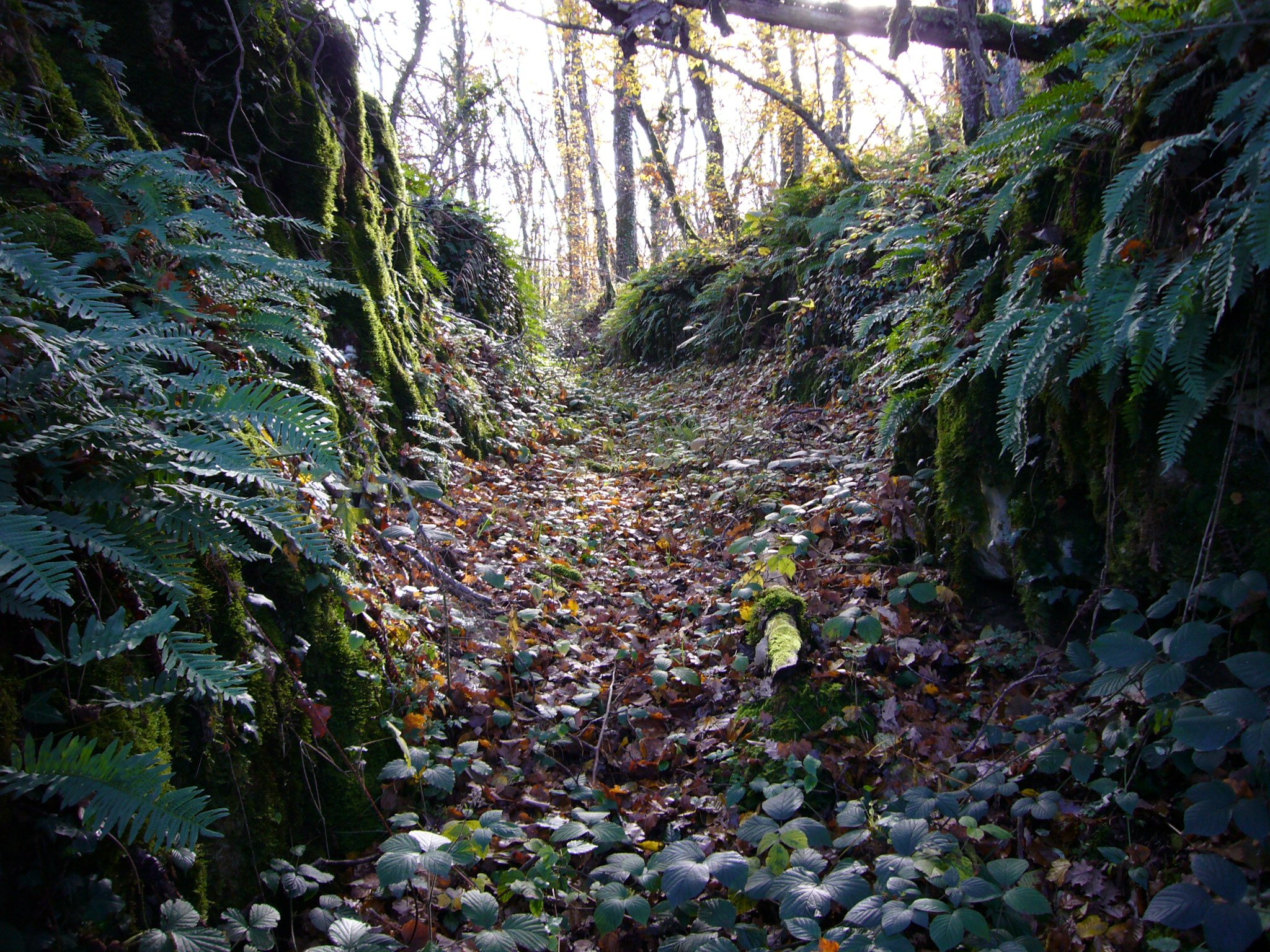 Thalweg rocheux sur l'ancien chemin (Loisieux, Avant Pays Savoyard)