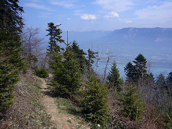 Sur le sentier des Côtes, Bourget du Lac