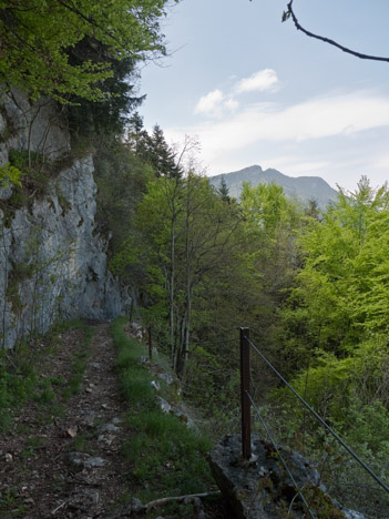 Sur le sentier du Nivolet