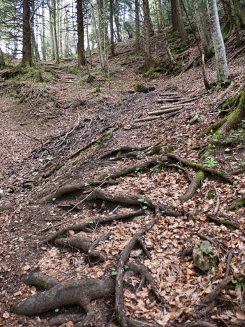 Sous le Col de la Cochette