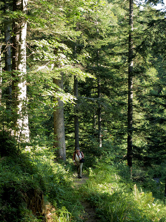 Sentier du Col de la Buffaz