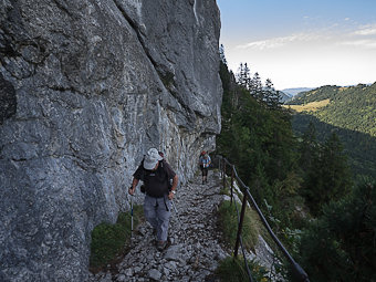 Chemin taillé de la Combe de la Montagne du Charbon