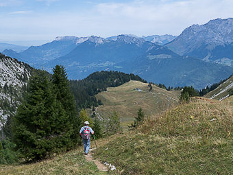 Descente de l'alpage de la Montagne du Charbon