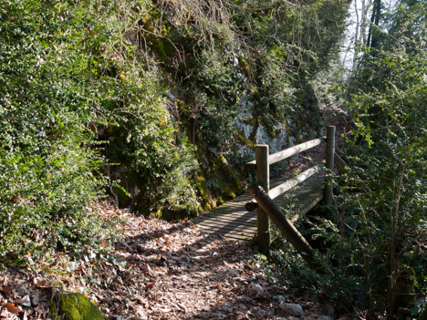 Passerelle sur le sentier de la Roche du Guet