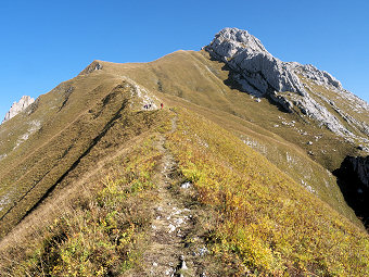 Croupe herbeuse et arête Sud du Mont Trélod