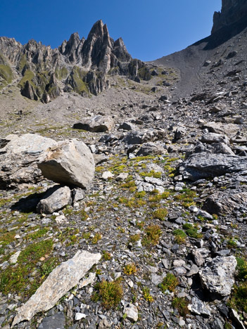 Aiguille du Grand Fond