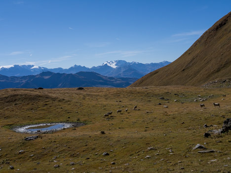 La Vanoise au loin