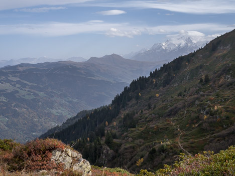 Le Mont Blanc