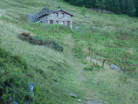 Chalet de l'Aup Bernard