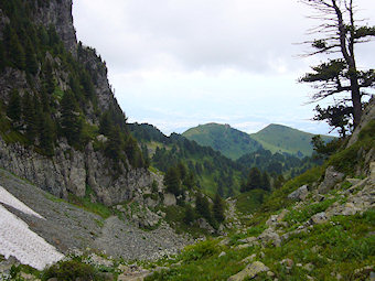 Descente vers le Col de la Balme