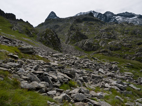 Crête du Mouchillon