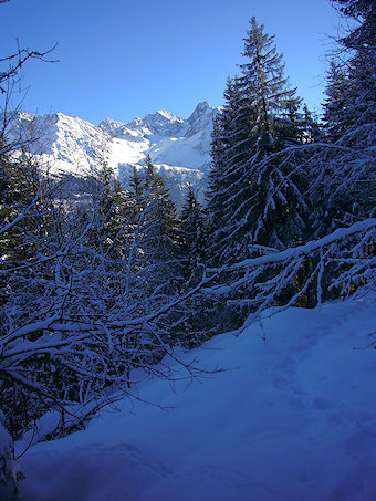 Puy Gris, Pic de la Grande Valloire