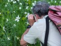 Antoine Salvi filme la fleur géante d'un Narcisse…