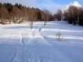 Traces d'une moto neige vers les Granges de Scioux