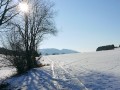 Ordonnaz, la piste de la Grande Bête