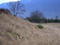 Prairie, Golet du Gela, Peyrieu