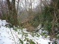 Talweg de la source Saint-Julien Saint-Benoit, Bugey