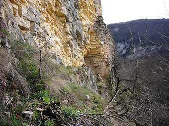 Falaise sous la Balme, Bénonces