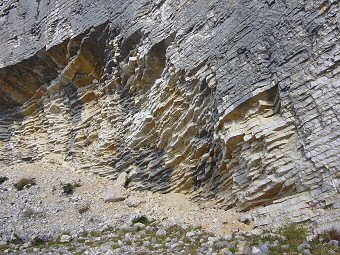 Calcaire de Cerin