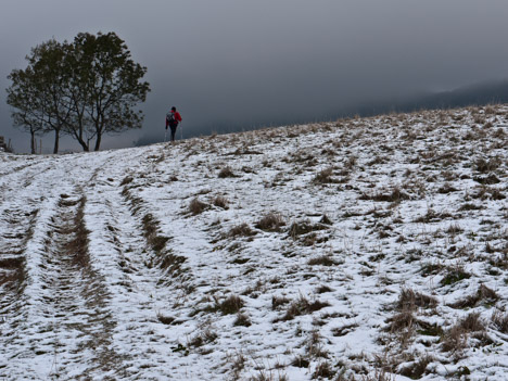 À travers En Pryse