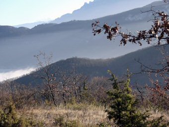 Le château de Tavollet, le Bois de Glaize et la Dent du Chat depuis les pentes de la montagne d'Izieu