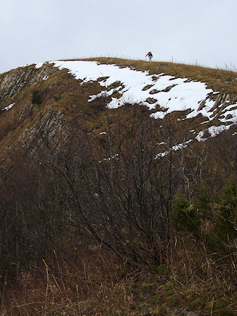 Antécime du Grand Colombier