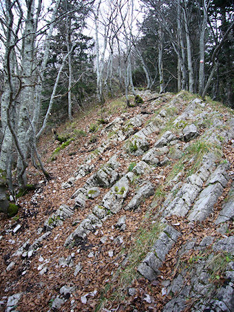 Sur l'arête Nord du Grand Colombier