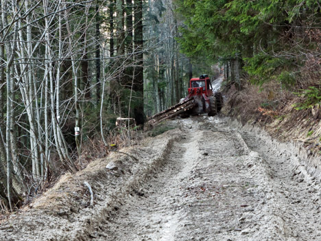 Engin forestier de débardage